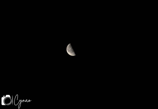 Lune